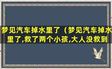 梦见汽车掉水里了（梦见汽车掉水里了,救了两个小孩,大人没救到）