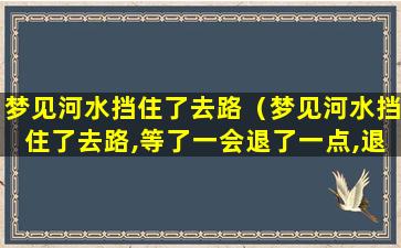 梦见河水挡住了去路（梦见河水挡住了去路,等了一会退了一点,退出一条路）