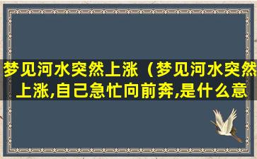 梦见河水突然上涨（梦见河水突然上涨,自己急忙向前奔,是什么意思）