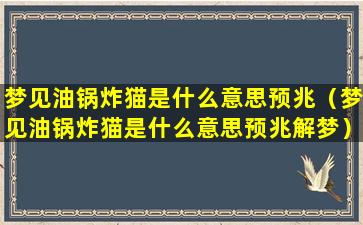 梦见油锅炸猫是什么意思预兆（梦见油锅炸猫是什么意思预兆解梦）