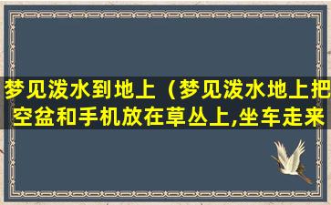 梦见泼水到地上（梦见泼水地上把空盆和手机放在草丛上,坐车走来）