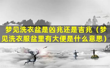 梦见洗衣盆是凶兆还是吉兆（梦见洗衣服盆里有大便是什么意思）