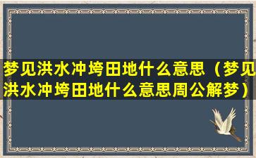 梦见洪水冲垮田地什么意思（梦见洪水冲垮田地什么意思周公解梦）