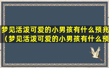 梦见活泼可爱的小男孩有什么预兆（梦见活泼可爱的小男孩有什么预兆吗）