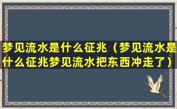 梦见流水是什么征兆（梦见流水是什么征兆梦见流水把东西冲走了）