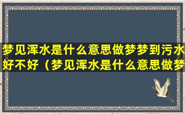 梦见浑水是什么意思做梦梦到污水好不好（梦见浑水是什么意思做梦梦到污水好不好呀）