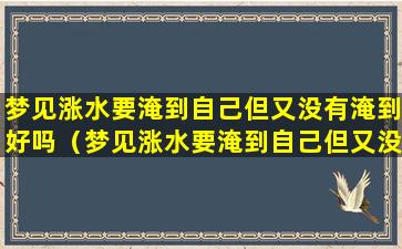 梦见涨水要淹到自己但又没有淹到好吗（梦见涨水要淹到自己但又没有淹到逃过一劫）