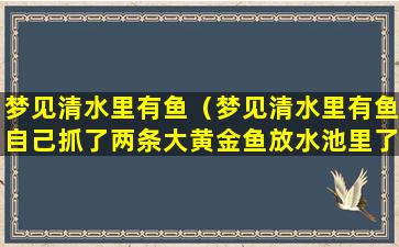 梦见清水里有鱼（梦见清水里有鱼自己抓了两条大黄金鱼放水池里了）