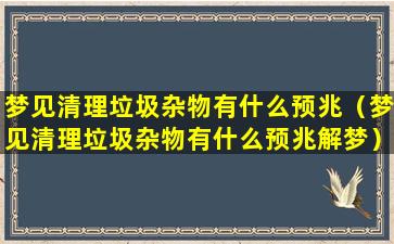 梦见清理垃圾杂物有什么预兆（梦见清理垃圾杂物有什么预兆解梦）