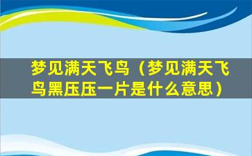 梦见满天飞鸟（梦见满天飞鸟黑压压一片是什么意思）