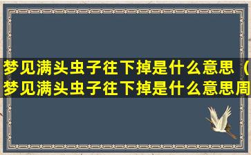 梦见满头虫子往下掉是什么意思（梦见满头虫子往下掉是什么意思周公解梦）