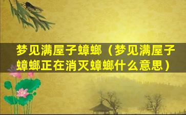 梦见满屋子蟑螂（梦见满屋子蟑螂正在消灭蟑螂什么意思）