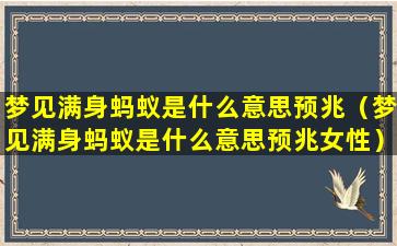 梦见满身蚂蚁是什么意思预兆（梦见满身蚂蚁是什么意思预兆女性）