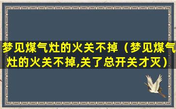 梦见煤气灶的火关不掉（梦见煤气灶的火关不掉,关了总开关才灭）