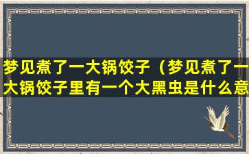 梦见煮了一大锅饺子（梦见煮了一大锅饺子里有一个大黑虫是什么意思）