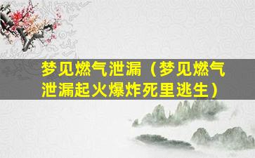 梦见燃气泄漏（梦见燃气泄漏起火爆炸死里逃生）