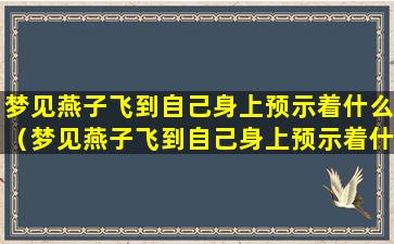 梦见燕子飞到自己身上预示着什么（梦见燕子飞到自己身上预示着什么预兆）