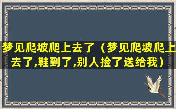 梦见爬坡爬上去了（梦见爬坡爬上去了,鞋到了,别人捡了送给我）