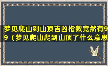 梦见爬山到山顶吉凶指数竟然有99（梦见爬山爬到山顶了什么意思啊）