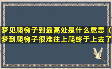 梦见爬梯子到最高处是什么意思（梦到爬梯子很难往上爬终于上去了）