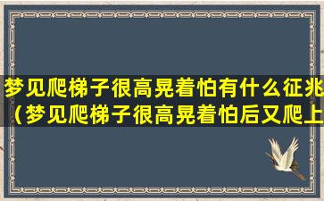 梦见爬梯子很高晃着怕有什么征兆（梦见爬梯子很高晃着怕后又爬上去了）