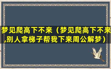 梦见爬高下不来（梦见爬高下不来,别人拿梯子帮我下来周公解梦）