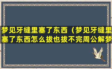 梦见牙缝里塞了东西（梦见牙缝里塞了东西怎么拔也拔不完周公解梦）