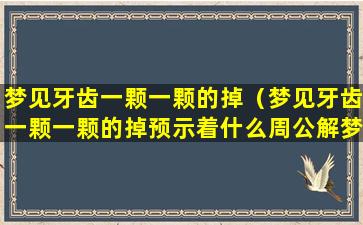 梦见牙齿一颗一颗的掉（梦见牙齿一颗一颗的掉预示着什么周公解梦）