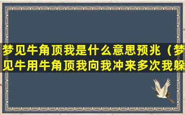 梦见牛角顶我是什么意思预兆（梦见牛用牛角顶我向我冲来多次我躲开了）