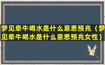 梦见牵牛喝水是什么意思预兆（梦见牵牛喝水是什么意思预兆女性）