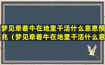 梦见牵着牛在地里干活什么意思预兆（梦见牵着牛在地里干活什么意思预兆解梦）