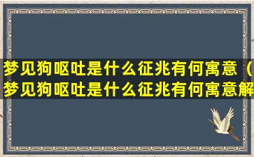 梦见狗呕吐是什么征兆有何寓意（梦见狗呕吐是什么征兆有何寓意解梦）