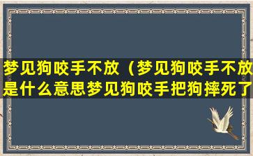 梦见狗咬手不放（梦见狗咬手不放是什么意思梦见狗咬手把狗摔死了么意思）