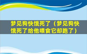 梦见狗快饿死了（梦见狗快饿死了给他喂食它却跑了）