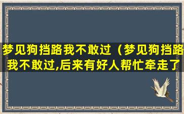 梦见狗挡路我不敢过（梦见狗挡路我不敢过,后来有好人帮忙牵走了）