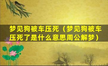 梦见狗被车压死（梦见狗被车压死了是什么意思周公解梦）