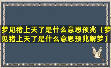 梦见猪上天了是什么意思预兆（梦见猪上天了是什么意思预兆解梦）