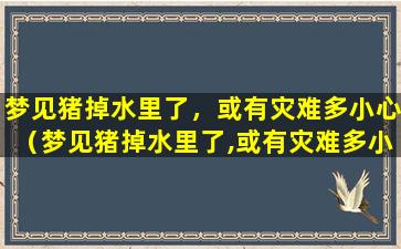 梦见猪掉水里了，或有灾难多小心（梦见猪掉水里了,或有灾难多小心）