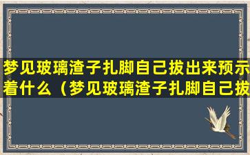 梦见玻璃渣子扎脚自己拔出来预示着什么（梦见玻璃渣子扎脚自己拔出来好多血）