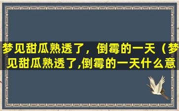 梦见甜瓜熟透了，倒霉的一天（梦见甜瓜熟透了,倒霉的一天什么意思）