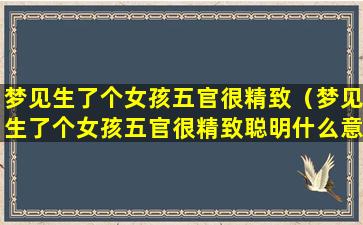 梦见生了个女孩五官很精致（梦见生了个女孩五官很精致聪明什么意思）