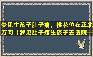 梦见生孩子肚子痛，桃花位在正北方向（梦见肚子疼生孩子去医院一时生不下来）