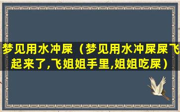 梦见用水冲屎（梦见用水冲屎屎飞起来了,飞姐姐手里,姐姐吃屎）