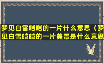 梦见白雪皑皑的一片什么意思（梦见白雪皑皑的一片美景是什么意思）