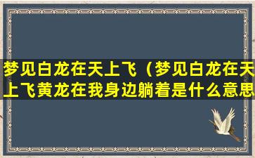 梦见白龙在天上飞（梦见白龙在天上飞黄龙在我身边躺着是什么意思）