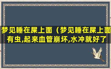 梦见睡在屎上面（梦见睡在屎上面有虫,起来血管崩坏,水冲就好了）