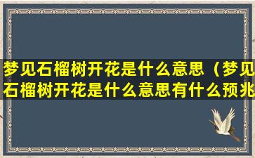 梦见石榴树开花是什么意思（梦见石榴树开花是什么意思有什么预兆吗）