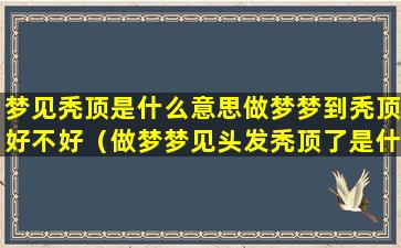 梦见秃顶是什么意思做梦梦到秃顶好不好（做梦梦见头发秃顶了是什么意思）