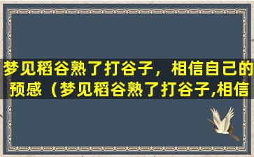 梦见稻谷熟了打谷子，相信自己的预感（梦见稻谷熟了打谷子,相信自己的预感是什么）