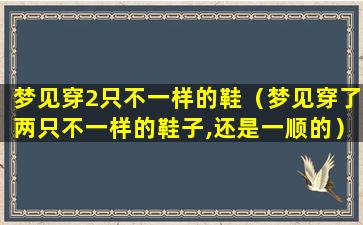 梦见穿2只不一样的鞋（梦见穿了两只不一样的鞋子,还是一顺的）